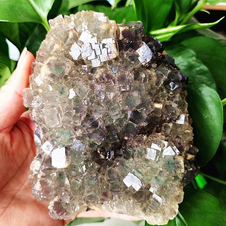 Green Fluorite Crystal Specimens - Light Of Twelve