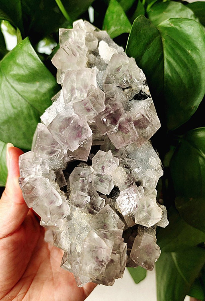 Green Fluorite Crystal Specimens - Light Of Twelve