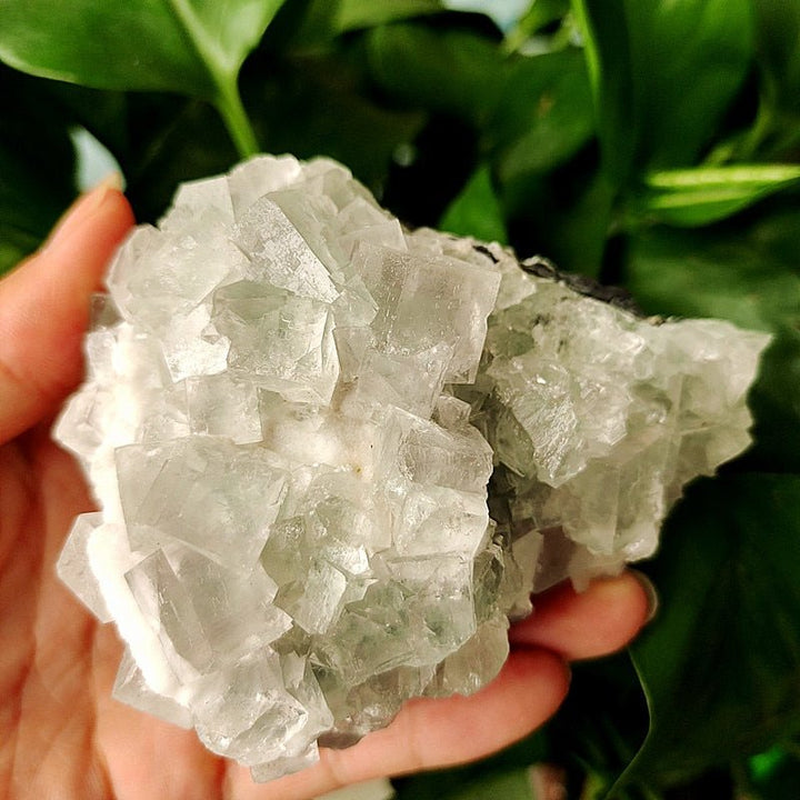 Green Fluorite Crystal Specimens - Light Of Twelve