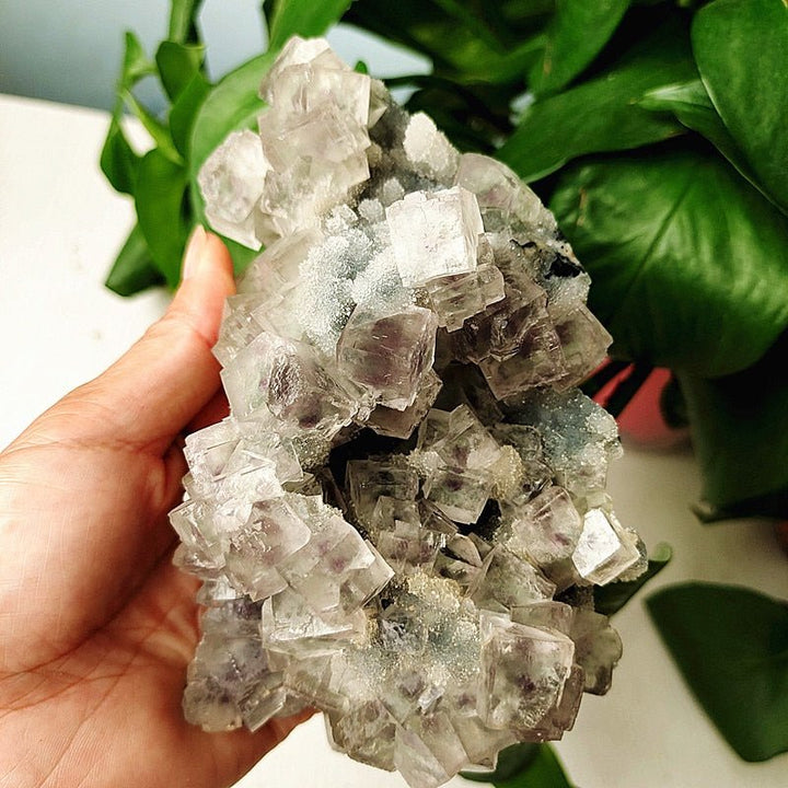 Green Fluorite Crystal Specimens - Light Of Twelve