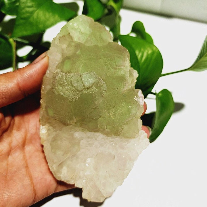 Green Fluorite Specimens - Light Of Twelve