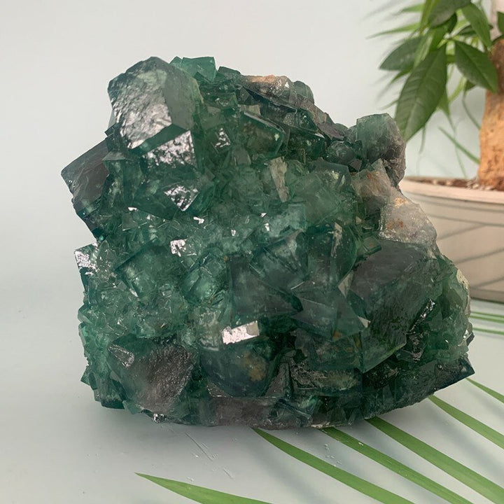 Green Fluorite Specimens - Light Of Twelve