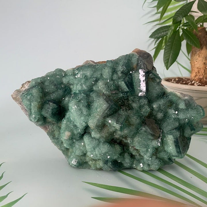 Green Fluorite Specimens - Light Of Twelve