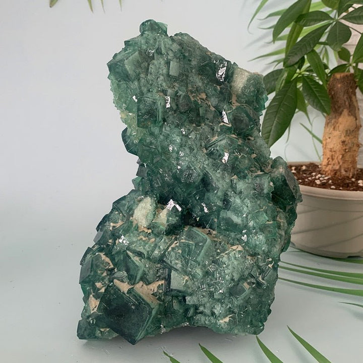 Green Fluorite Specimens - Light Of Twelve