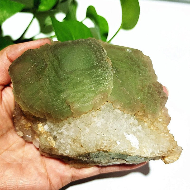 Green Fluorite Specimens - Light Of Twelve