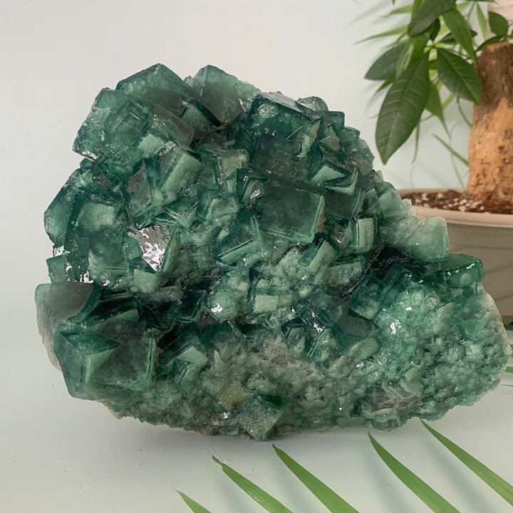 Green Fluorite Specimens - Light Of Twelve