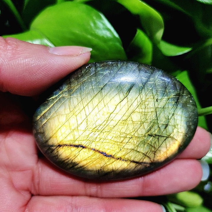 Labradorite Palm Stones - Light Of Twelve