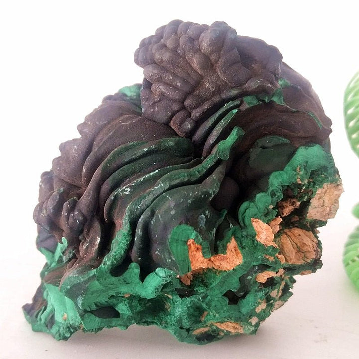 Malachite Mineral Specimens - Light Of Twelve