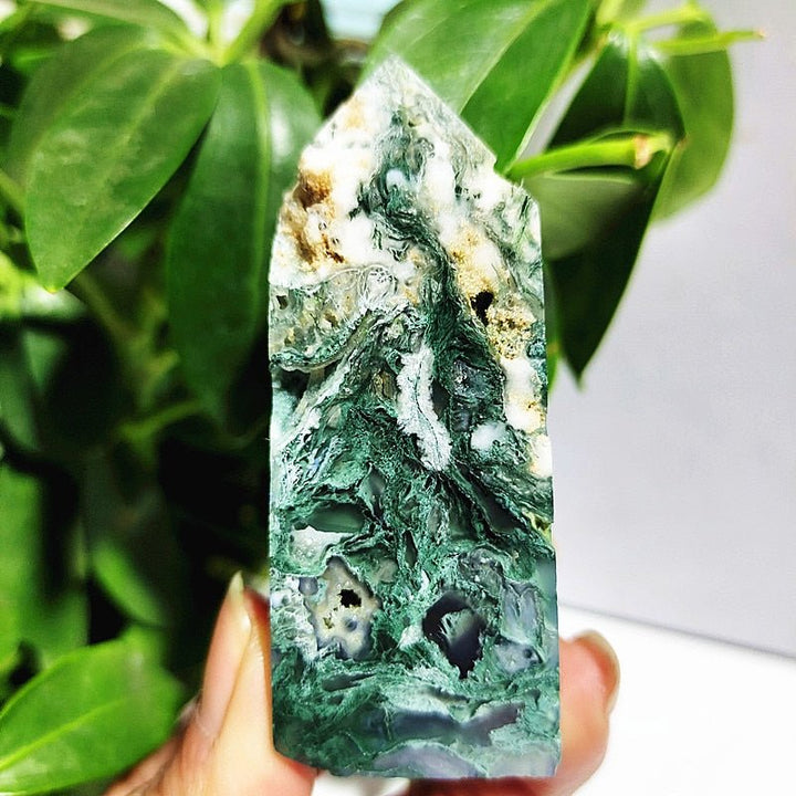 Moss Agate Crystal Points - Light Of Twelve