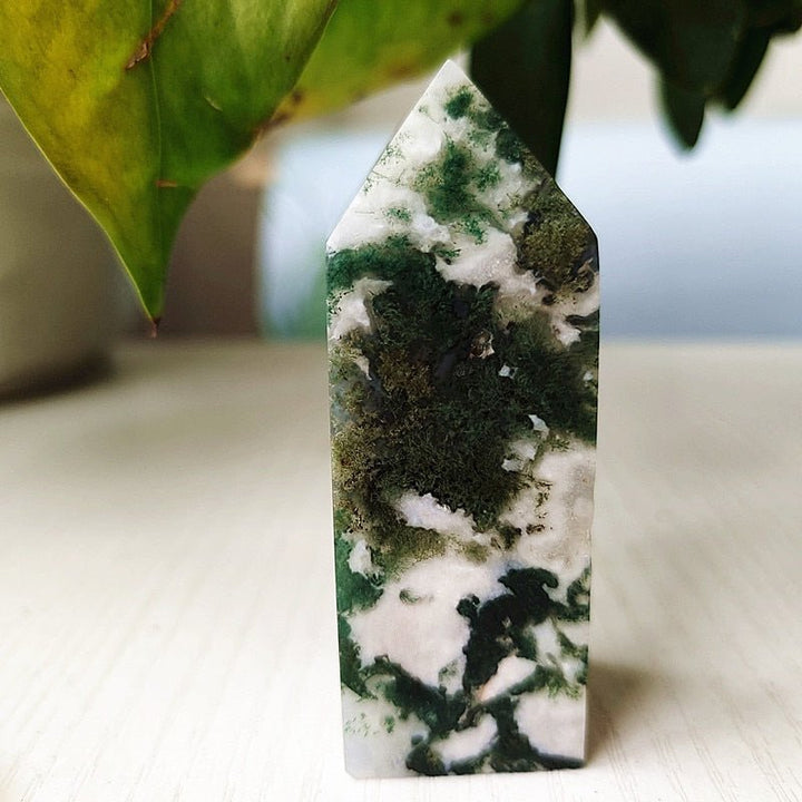 Moss Agate Crystal Points - Light Of Twelve