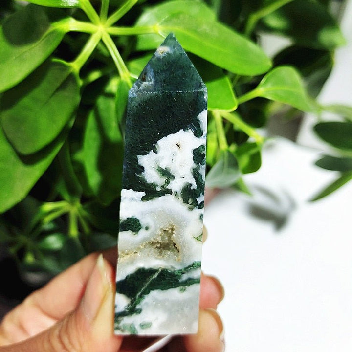 Moss Agate Crystal Points - Light Of Twelve