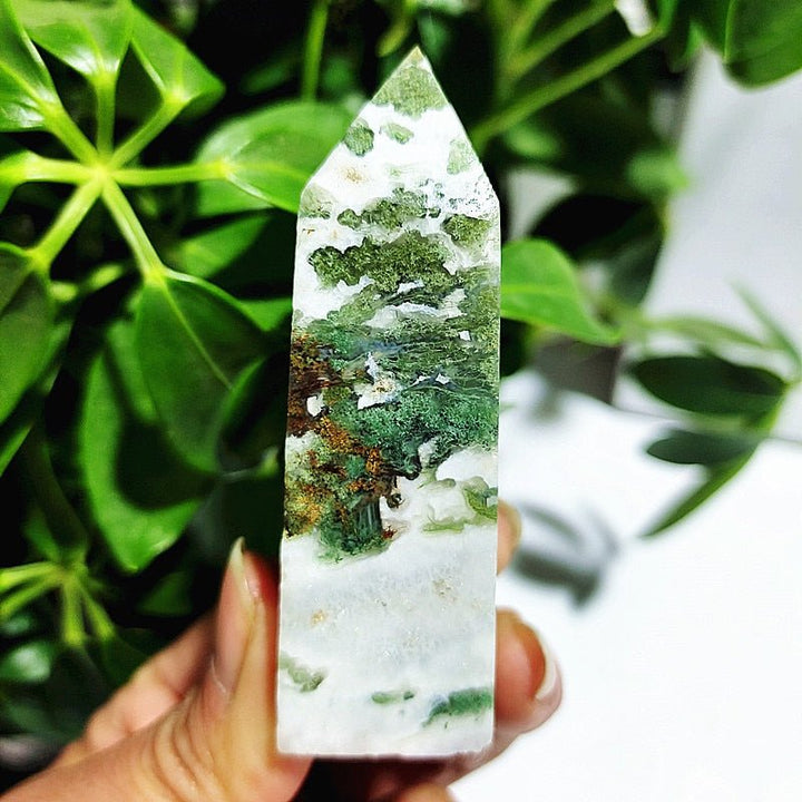 Moss Agate Crystal Points - Light Of Twelve