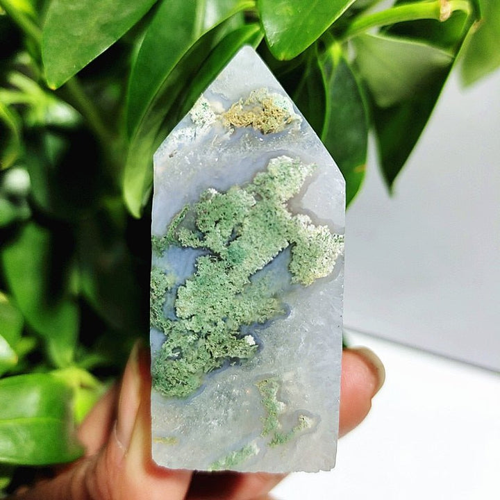 Moss Agate Crystal Points - Light Of Twelve