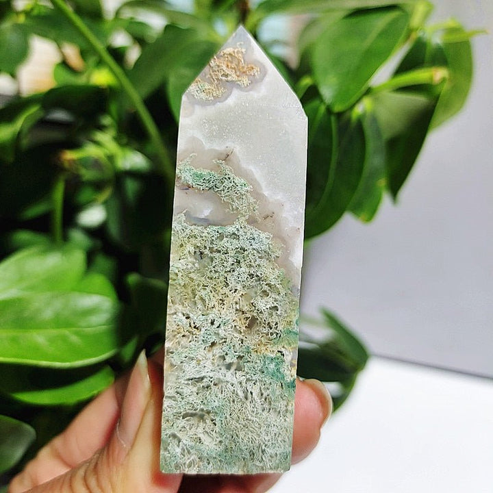 Moss Agate Crystal Points - Light Of Twelve