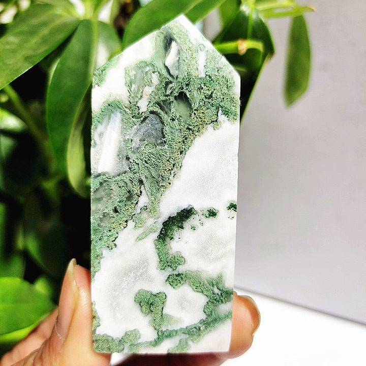 Moss Agate Crystal Points - Light Of Twelve