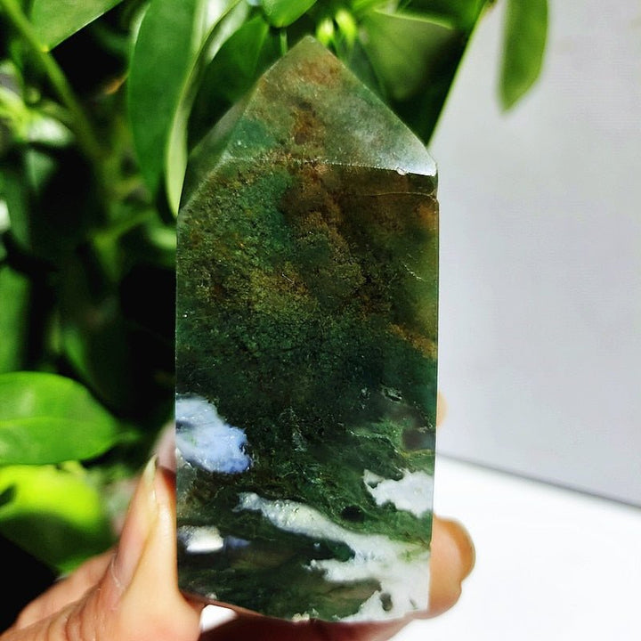 Moss Agate Crystal Points - Light Of Twelve