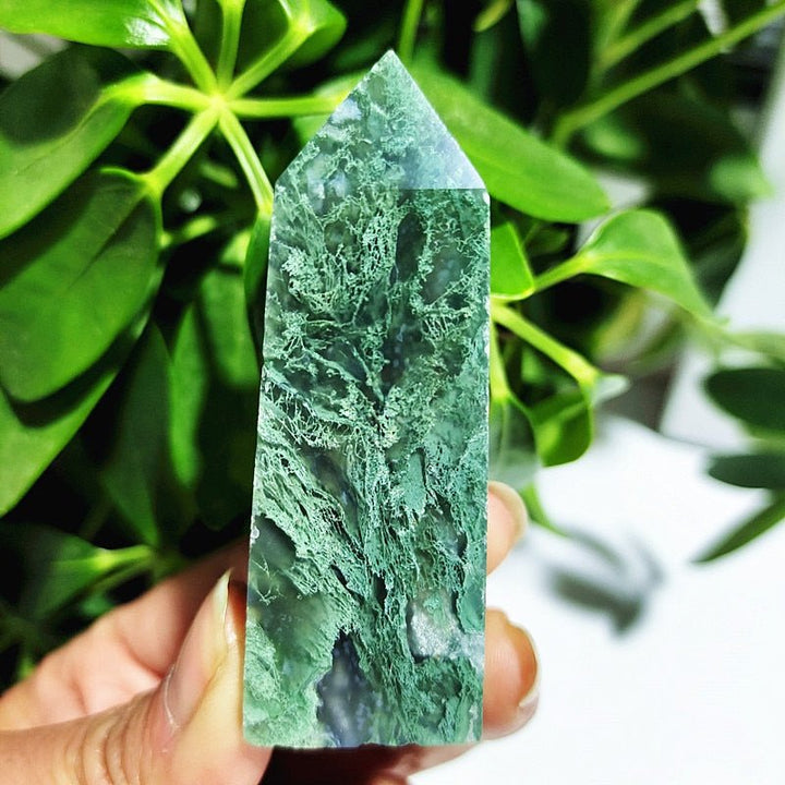 Moss Agate Crystal Points - Light Of Twelve