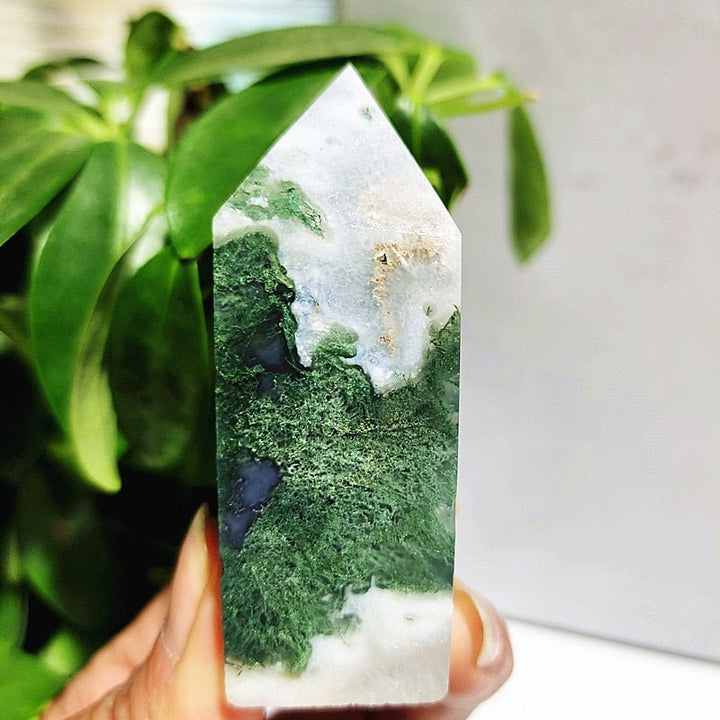 Moss Agate Crystal Points - Light Of Twelve