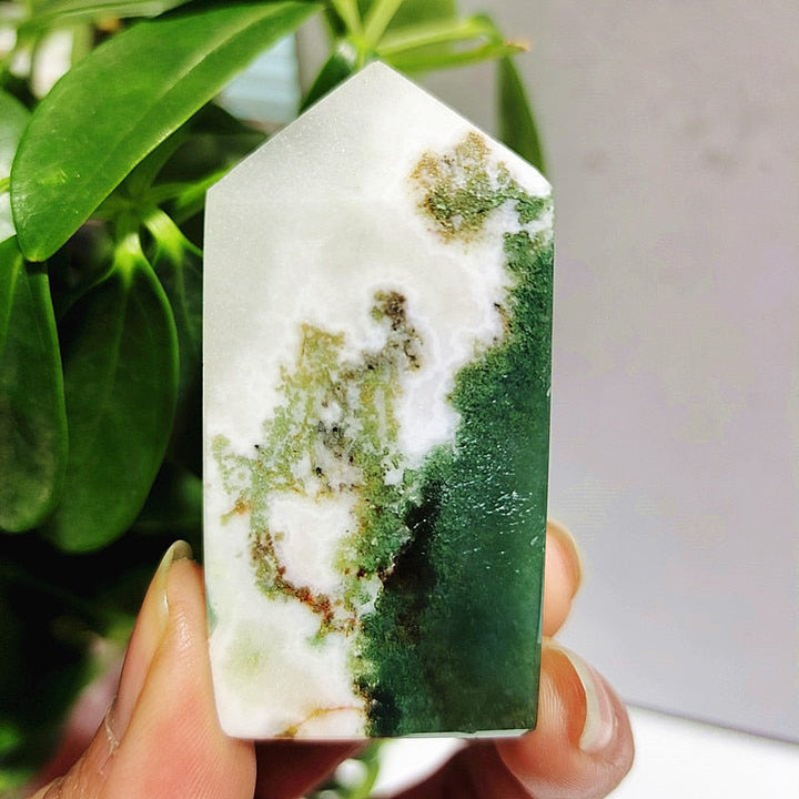 Moss Agate Crystal Points - Light Of Twelve