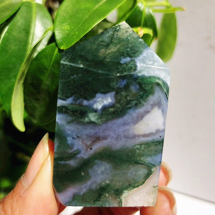 Moss Agate Crystal Points - Light Of Twelve