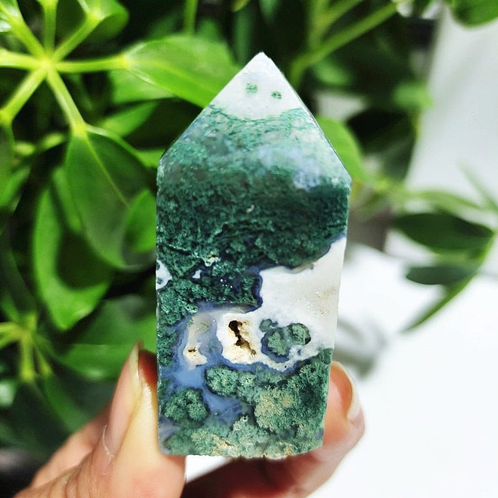 Moss Agate Crystal Points - Light Of Twelve