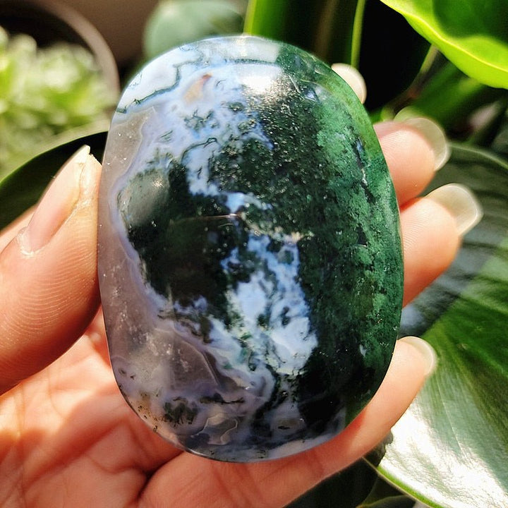 Moss Agate Druzy Palm Stones - Light Of Twelve