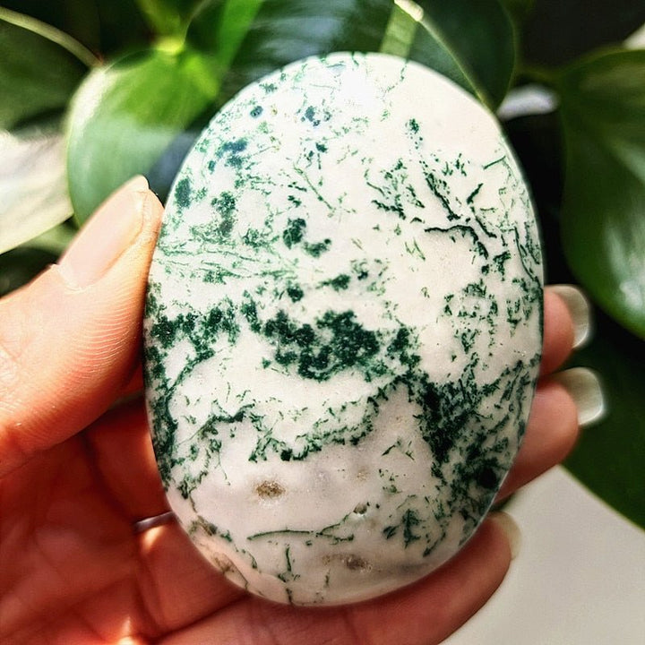 Moss Agate Druzy Palm Stones - Light Of Twelve