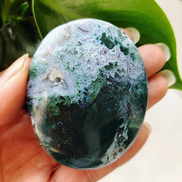 Moss Agate Druzy Palm Stones - Light Of Twelve