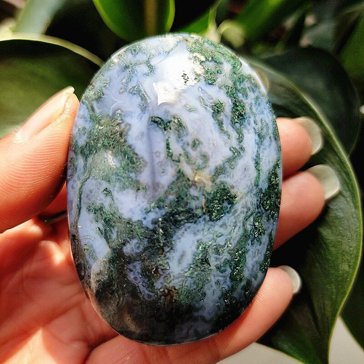 Moss Agate Druzy Palm Stones - Light Of Twelve