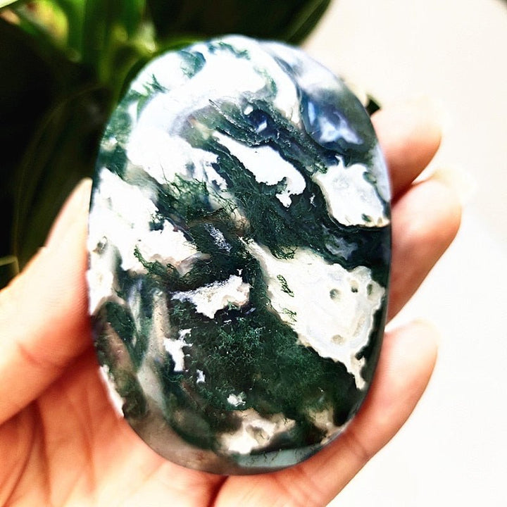 Moss Agate Druzy Palm Stones - Light Of Twelve