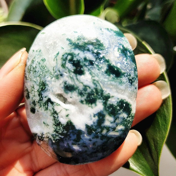 Moss Agate Druzy Palm Stones - Light Of Twelve