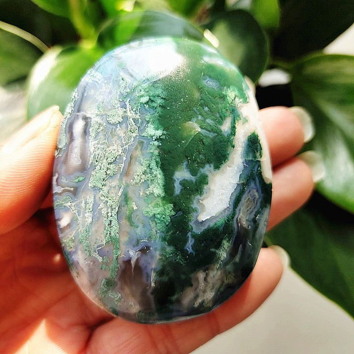 Moss Agate Druzy Palm Stones - Light Of Twelve