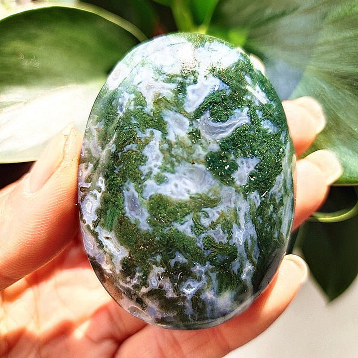 Moss Agate Druzy Palm Stones - Light Of Twelve