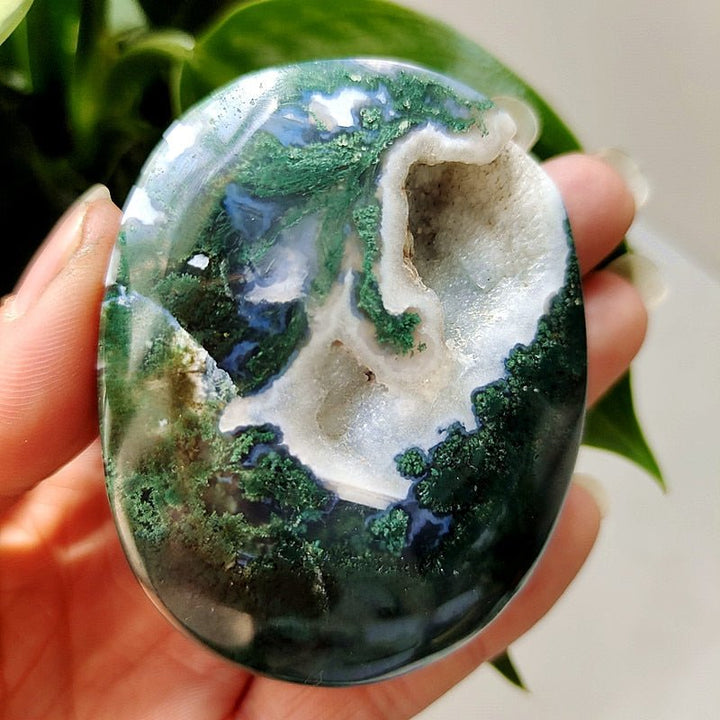 Moss Agate Druzy Palm Stones - Light Of Twelve