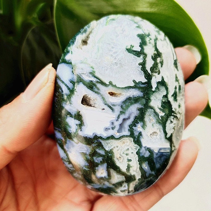 Moss Agate Druzy Palm Stones - Light Of Twelve