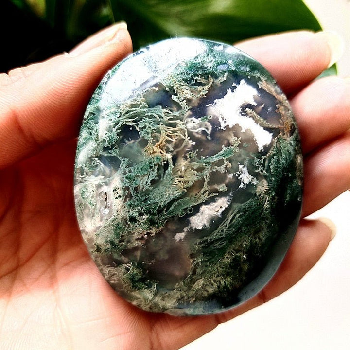 Moss Agate Druzy Palm Stones - Light Of Twelve