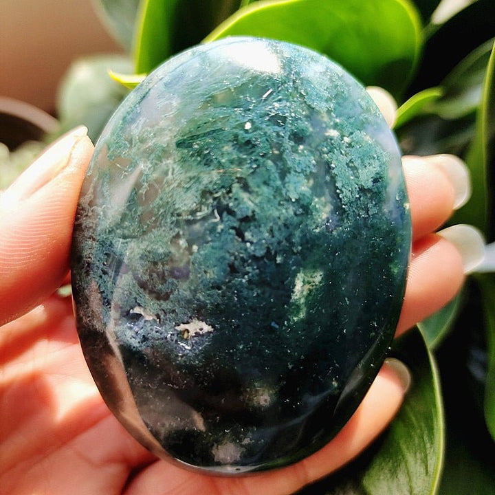 Moss Agate Druzy Palm Stones - Light Of Twelve