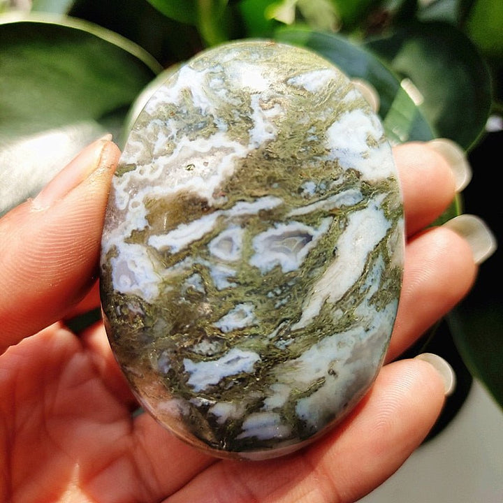 Moss Agate Druzy Palm Stones - Light Of Twelve