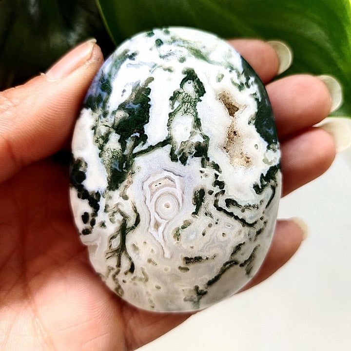 Moss Agate Druzy Palm Stones - Light Of Twelve