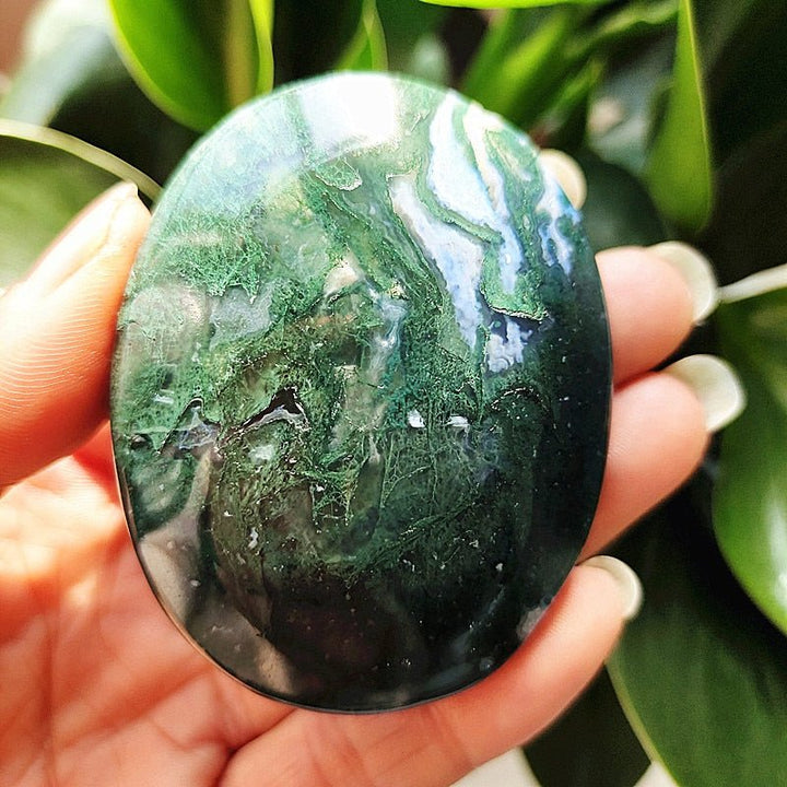 Moss Agate Druzy Palm Stones - Light Of Twelve