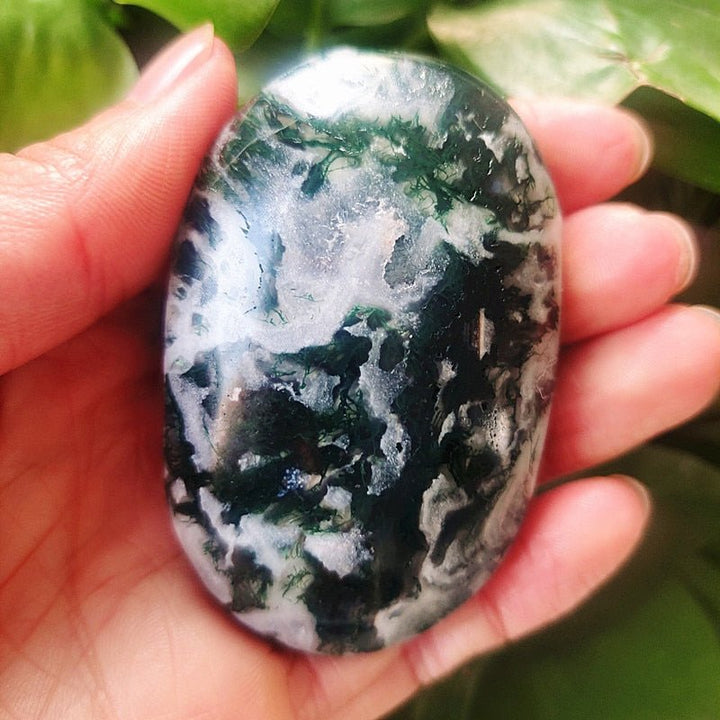 Moss Agate Palm Stones - Light Of Twelve