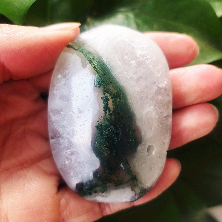 Moss Agate Palm Stones - Light Of Twelve