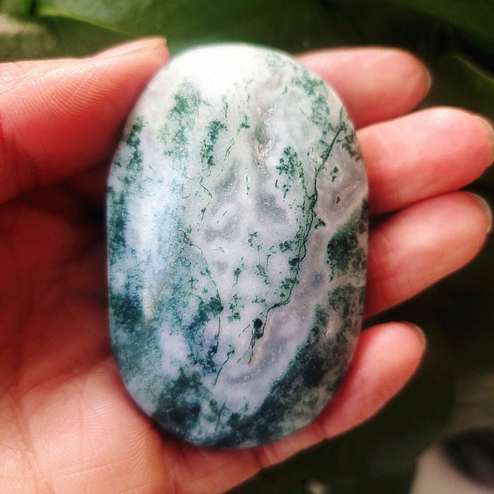 Moss Agate Palm Stones - Light Of Twelve