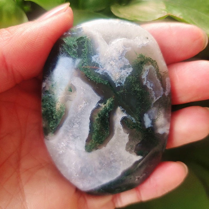 Moss Agate Palm Stones - Light Of Twelve