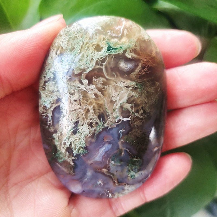 Moss Agate Palm Stones - Light Of Twelve