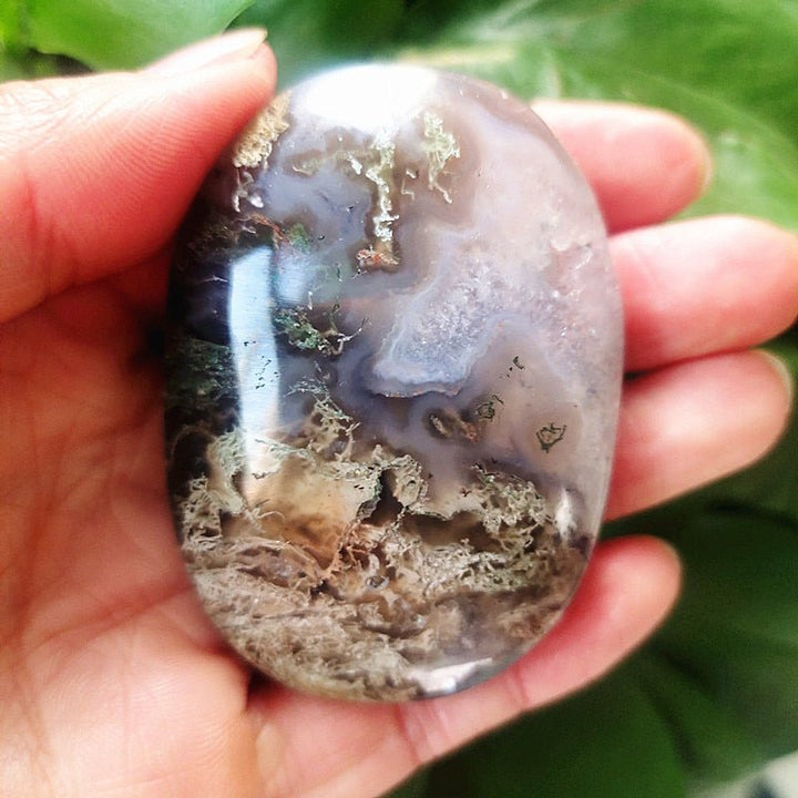 Moss Agate Palm Stones - Light Of Twelve