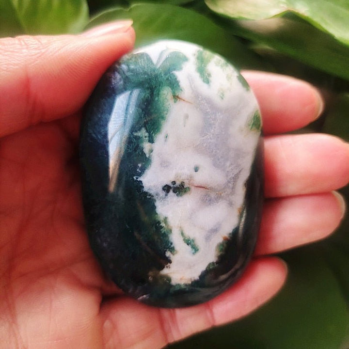 Moss Agate Palm Stones - Light Of Twelve