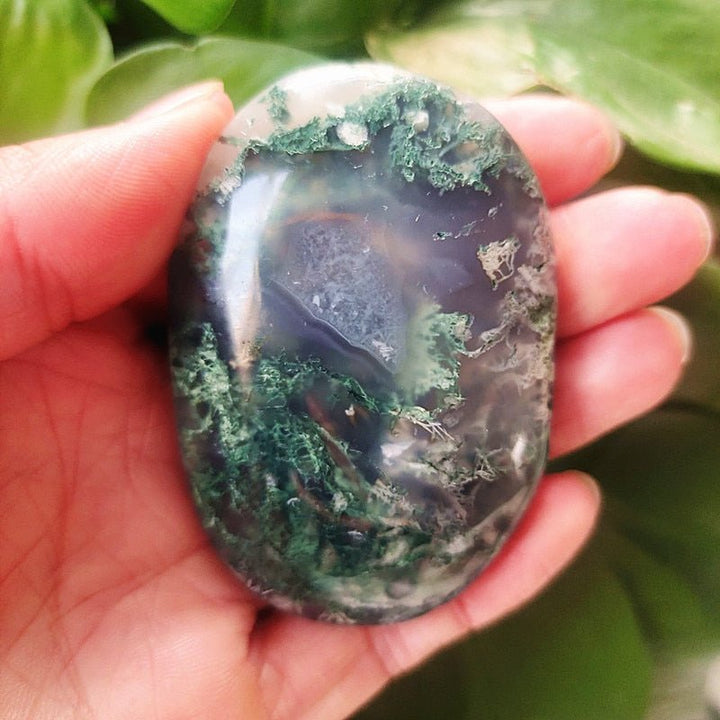 Moss Agate Palm Stones - Light Of Twelve