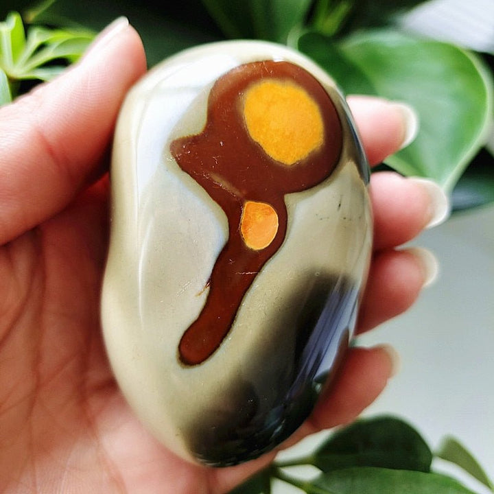 Ocean Jasper Worry Stone - Light Of Twelve