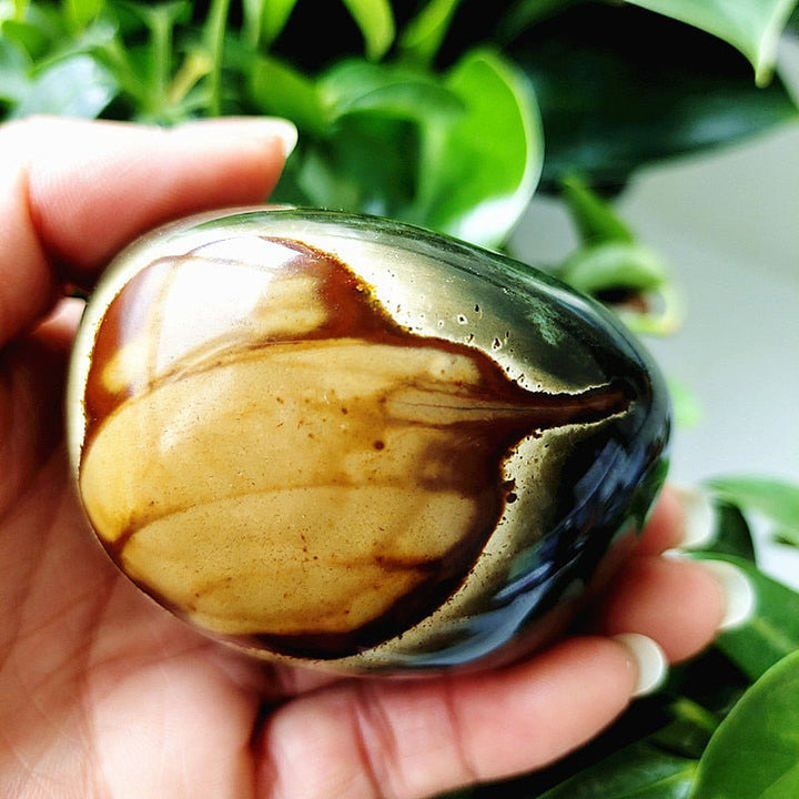 Ocean Jasper Worry Stone - Light Of Twelve